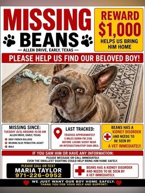 ‼️‼️ATTENTION TEXAS PEOPLE‼️‼️PLEASE BE ON THE LOOKOUT AND SHARE !!! MISSING DOG